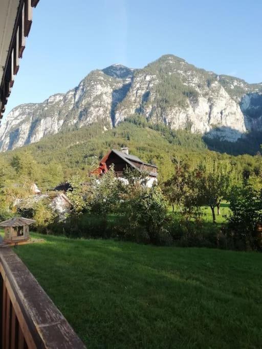 Apartma Traumblick Obertraun Διαμέρισμα Εξωτερικό φωτογραφία