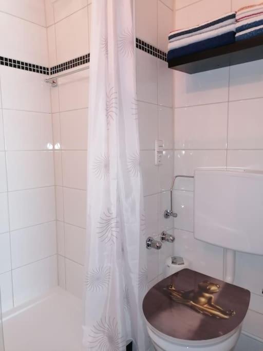 Apartma Traumblick Obertraun Διαμέρισμα Εξωτερικό φωτογραφία